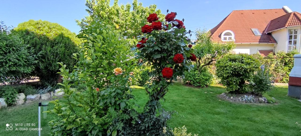 Landhaus Forras Balatonfured Luaran gambar